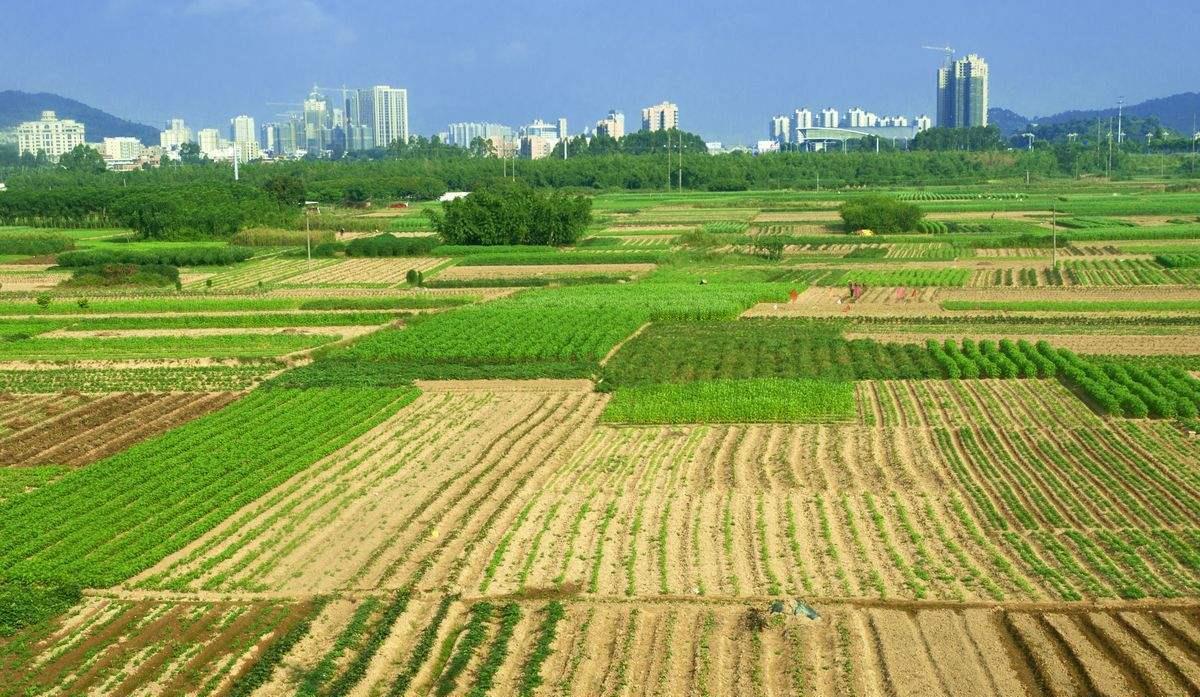 智慧之选，土地技术咨询助力企业稳健发展,随着我国经济的飞速增长，土地资源已成为企业发展的坚实基础，其重要性愈发显著，在竞争激烈的市场环境中，企业对土地资源的合理运用和高效开发显得尤为关键，为了协助企业破解土地资源管理的难题，提高土地资源的使用效率，越来越多的土地技术咨询公司应运而生，本文将深入探讨土地技术咨询公司的优势，并为您介绍如何挑选一家卓越的土地技术咨询公司。,土地技术咨询公司,技术咨询,技术咨询公司,第1张