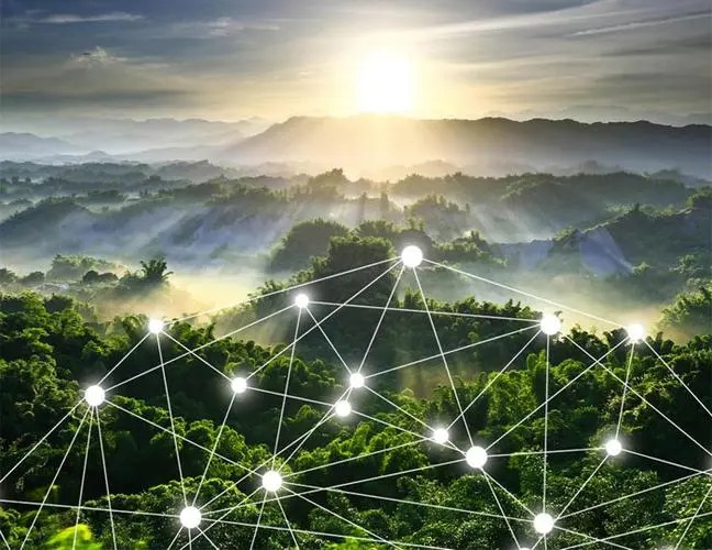 林业可持续发展智慧导航，技术咨询解析关键,在全球生态环境日益严峻的背景下，林业作为维护生态平衡、保障人类生存与发展的重要领域，其地位愈发凸显，林业技术咨询作为推动林业可持续发展的关键力量，其作用和内容丰富性不容忽视，本文将从多个维度对林业技术咨询进行深入剖析，以期为我国林业事业发展提供有益的借鉴。,林业技术咨询内容,技术咨询,技术咨询是指,技术咨询内容,第1张
