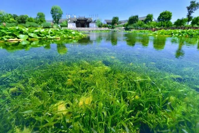 水处理行业可持续发展，水技术咨询的引领力量,随着我国经济的飞速发展，水资源短缺和水污染问题愈发凸显，水处理行业面临着前所未有的挑战，在此背景下，水技术咨询应运而生，成为推动水处理行业可持续发展的核心力量，本文将深入探讨水技术咨询的定义、发展历程、应用领域以及未来发展趋势。,水技术咨询,技术咨询,技术咨询是指,第1张