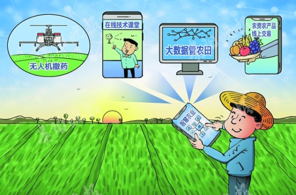 农业发展新动力，农户技术咨询助力生产水平飞跃,随着我国农业现代化步伐的稳步前行，农户在农业生产中对于专业技术咨询的需求持续攀升，这种需求的增长，不仅有助于农户提升种植与养殖的技术水平，还能有效推动农业产业结构的升级，助力农业的可持续发展，本文将从农户技术咨询的深远意义、当前面临的现状以及相应的对策等多个维度进行深入探讨。,接受农户技术咨询,技术咨询,技术咨询服务,提供技术咨询,第1张
