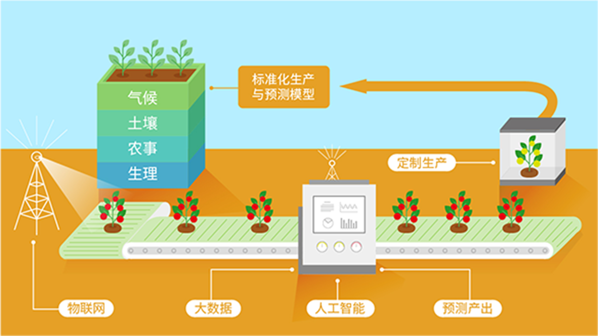 科技赋能农业,蔬菜技术咨询推动现代化种植,提升产量与品质,蔬菜技术咨询,技术咨询,第1张 科技赋能农业,蔬菜技术咨询推动现代化种植,提升产量与品质,蔬菜技术咨询的重要性,蔬菜技术咨询,技术咨询,第1张